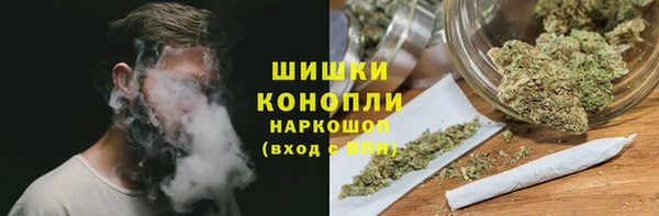 прущие грибы Белоозёрский