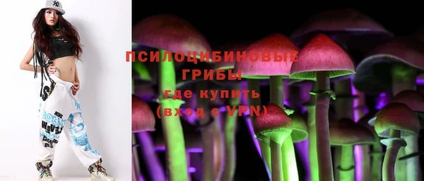 СК Беломорск