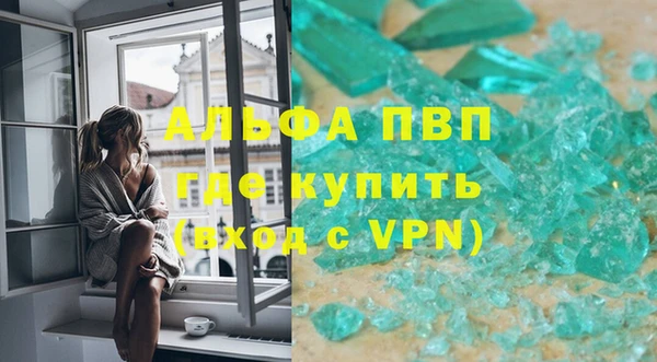 прущие грибы Белоозёрский
