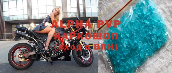 прущие грибы Белоозёрский