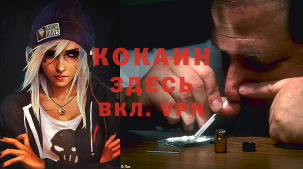 прущие грибы Белоозёрский