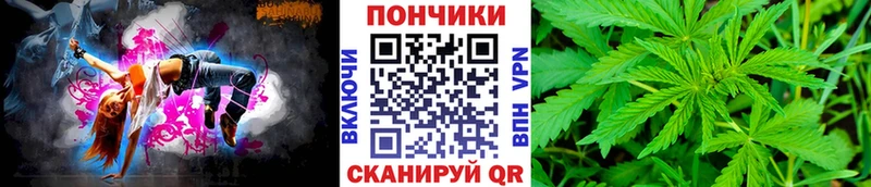 Бошки Шишки планчик  Высоковск 